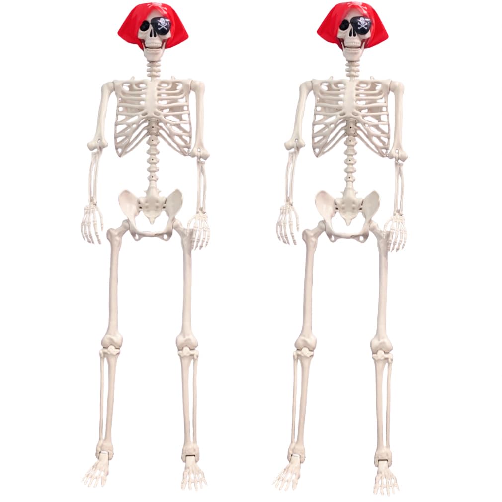 Life Size Posable Skeleton Decoration C6749