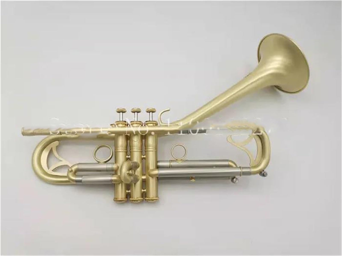 Bb Trumpet with Case and Mouthpiece F3686