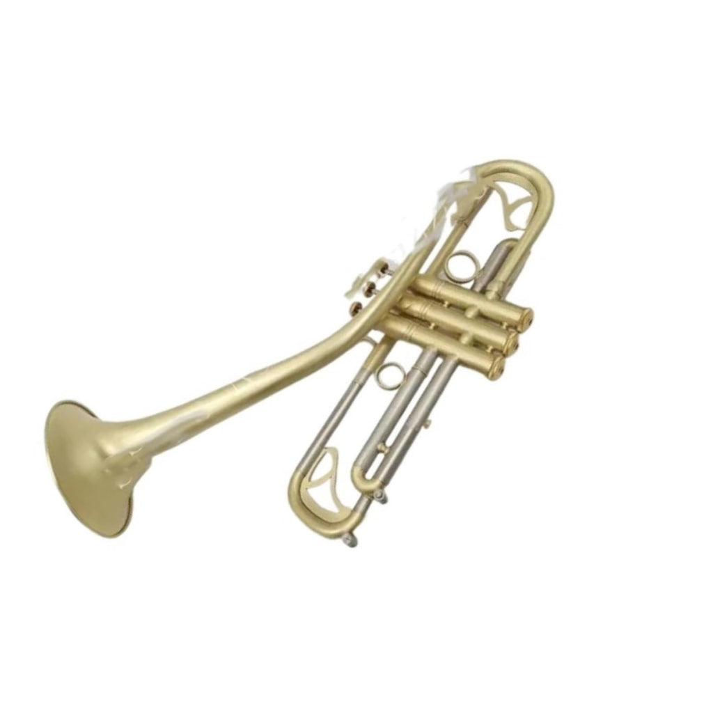 Bb Trumpet with Case and Mouthpiece F3686