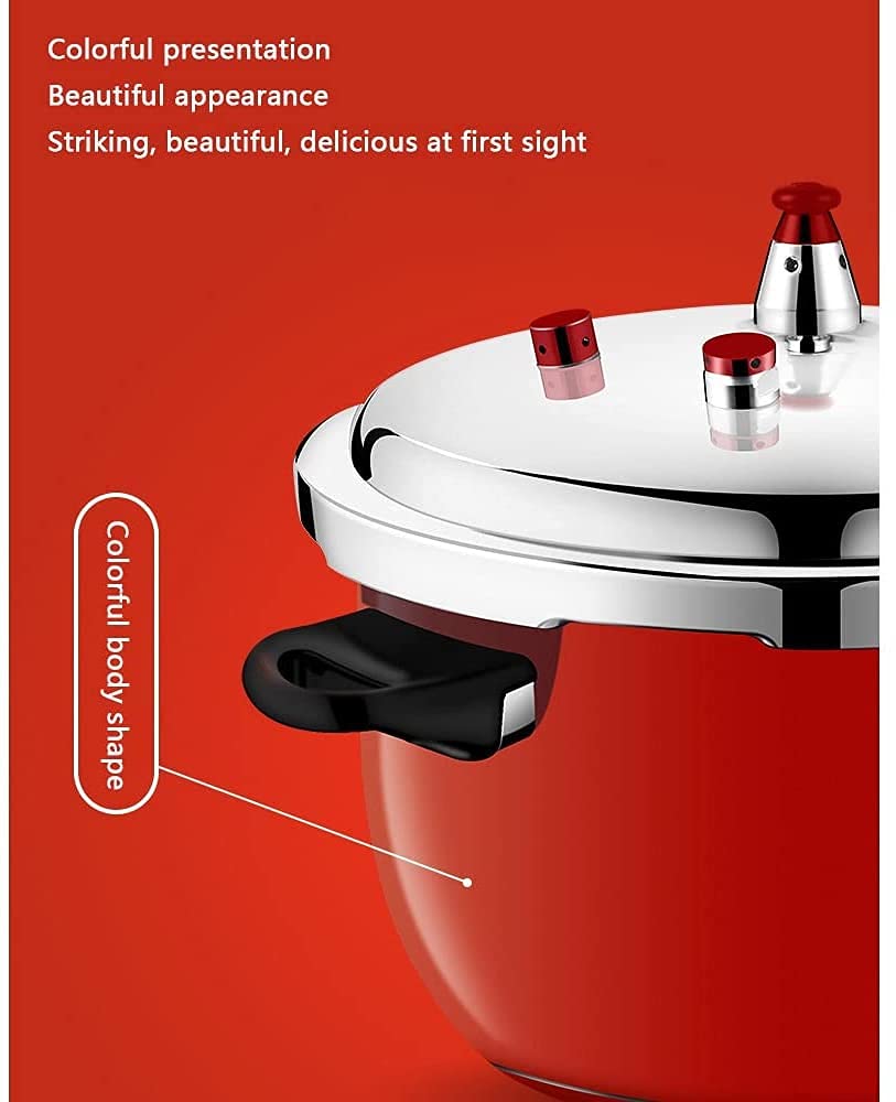 Stainless Steel 3L Pressure Cooker B3468