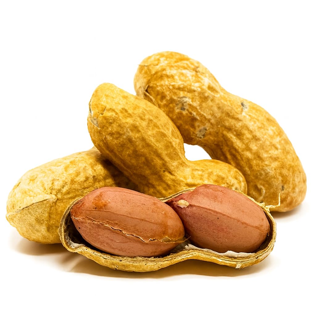 Raw Unsalted Peanuts in Shell 2.5lb O788
