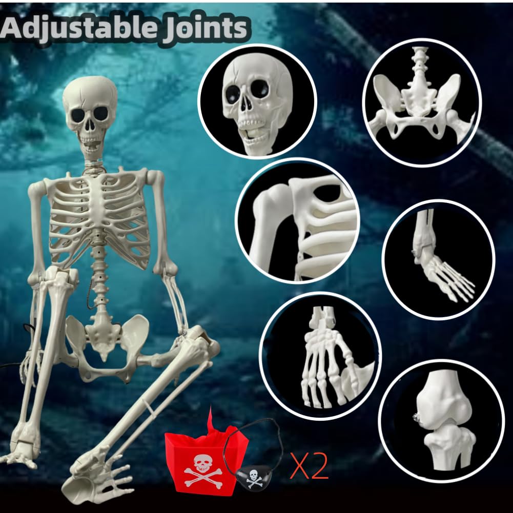 Life Size Posable Skeleton Decoration C6749