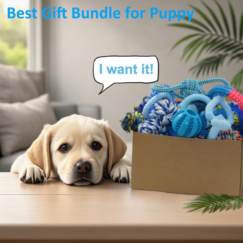 20 Pack Puppy Chew Toys O203584