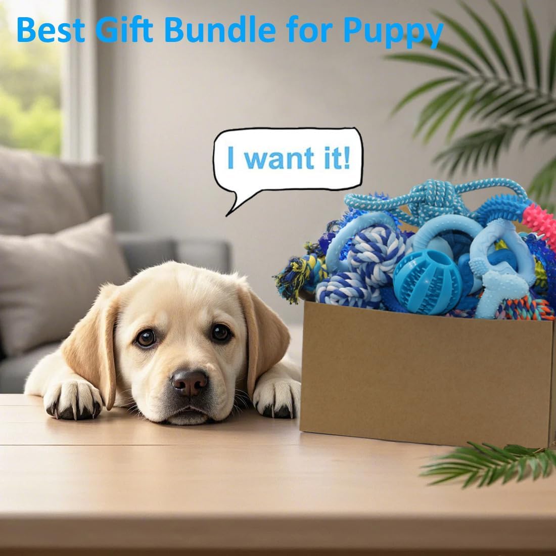 20 Pack Puppy Chew Toys O203584