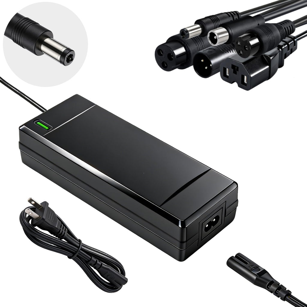 54.6V 2A Electric Bike Charger C2750