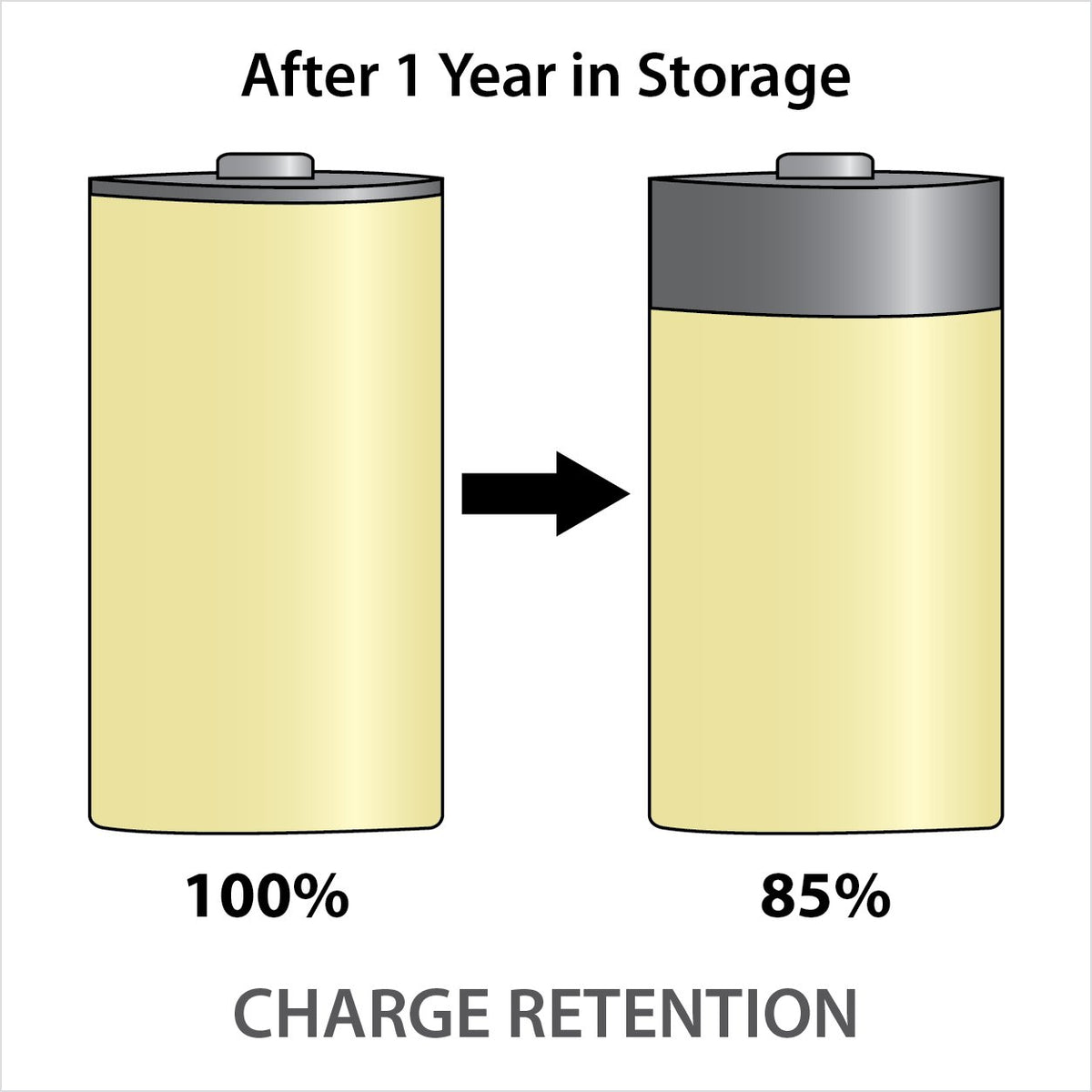 Rechargeable NiMH D Batteries 2-pack E114