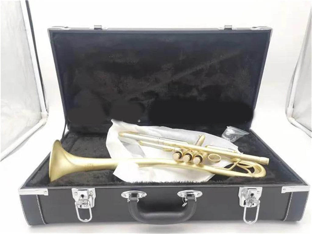 Bb Trumpet with Case and Mouthpiece F3686