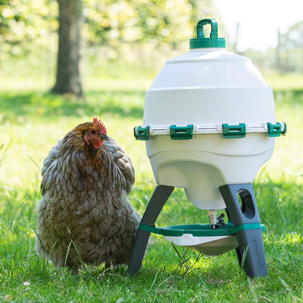 6 Gallon Top Fill Gravity Fed Poultry Waterer H290268
