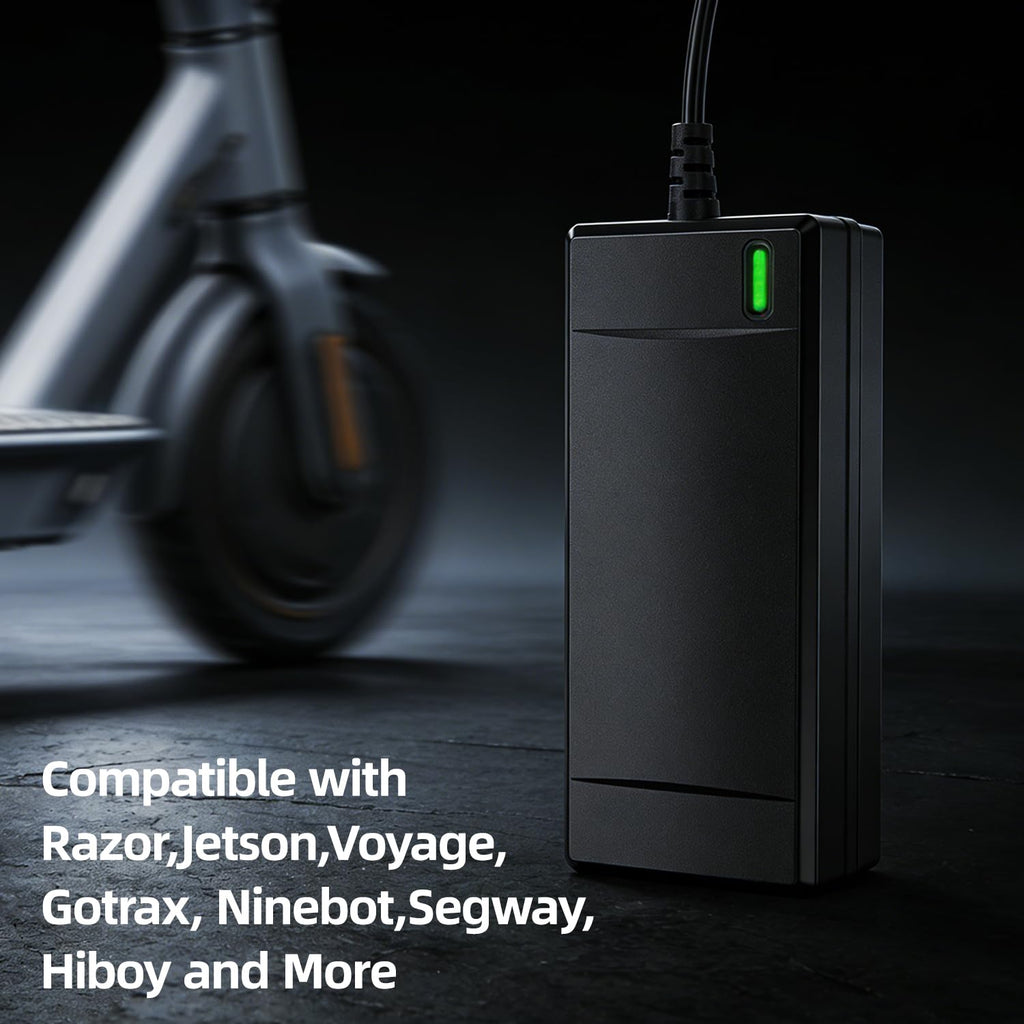 54.6V 2A Electric Bike Charger C2750