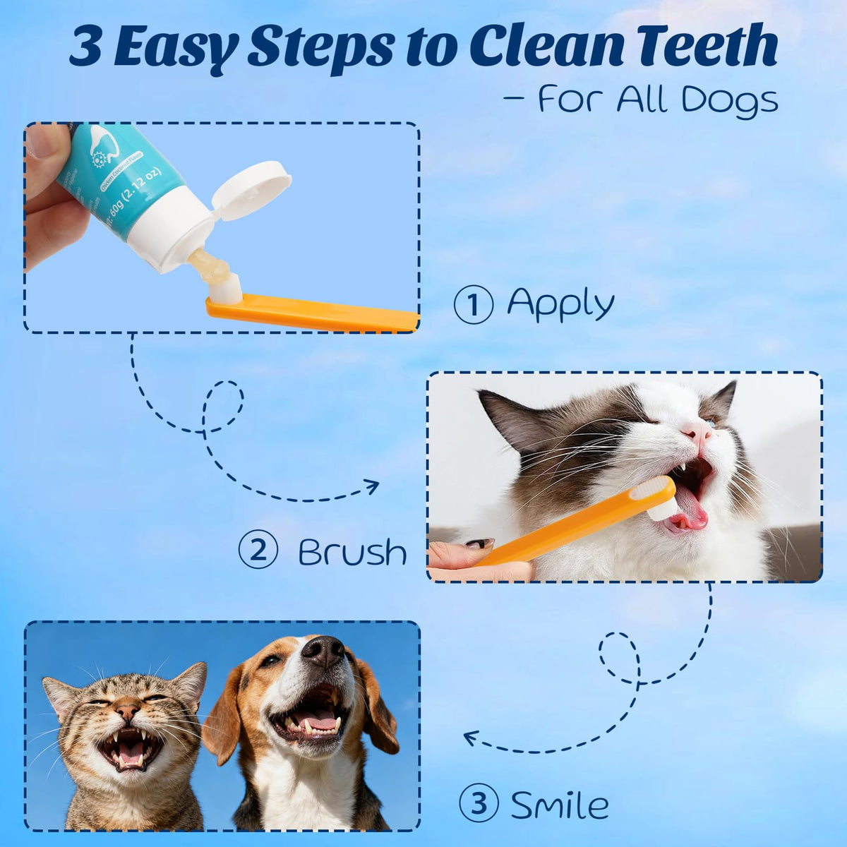 Coconut Chicken Flavor Dog Toothpaste with Toothbrush Kit 2.1oz M103217