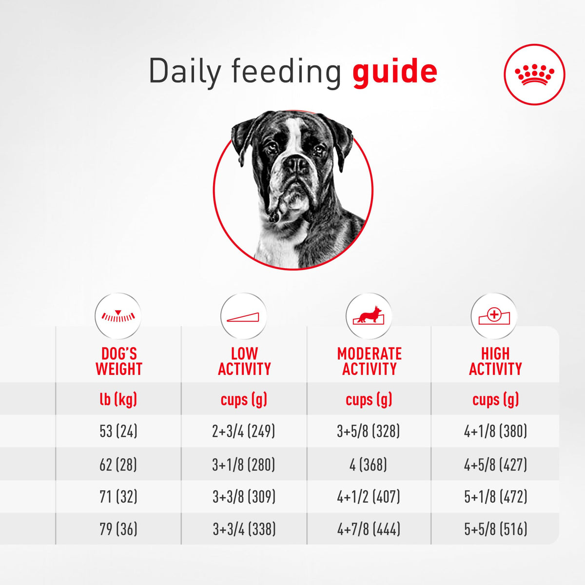 Adult Dry Dog Food 30 lb Bag I1590