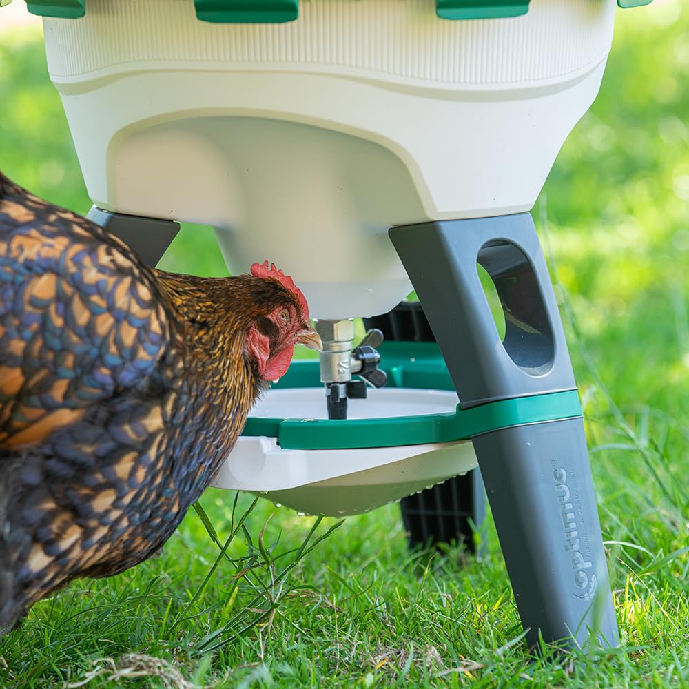 6 Gallon Top Fill Gravity Fed Poultry Waterer H290268