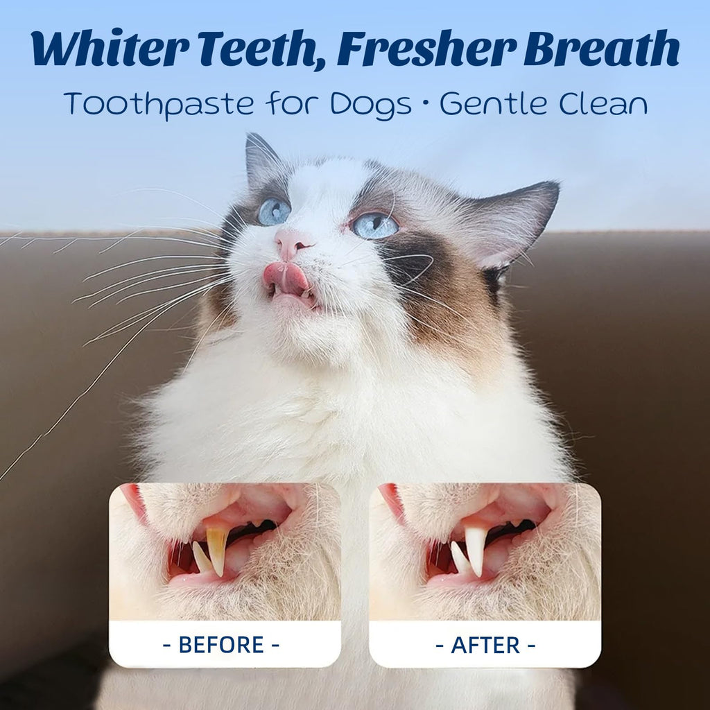 Coconut Chicken Flavor Dog Toothpaste with Toothbrush Kit 2.1oz M103217