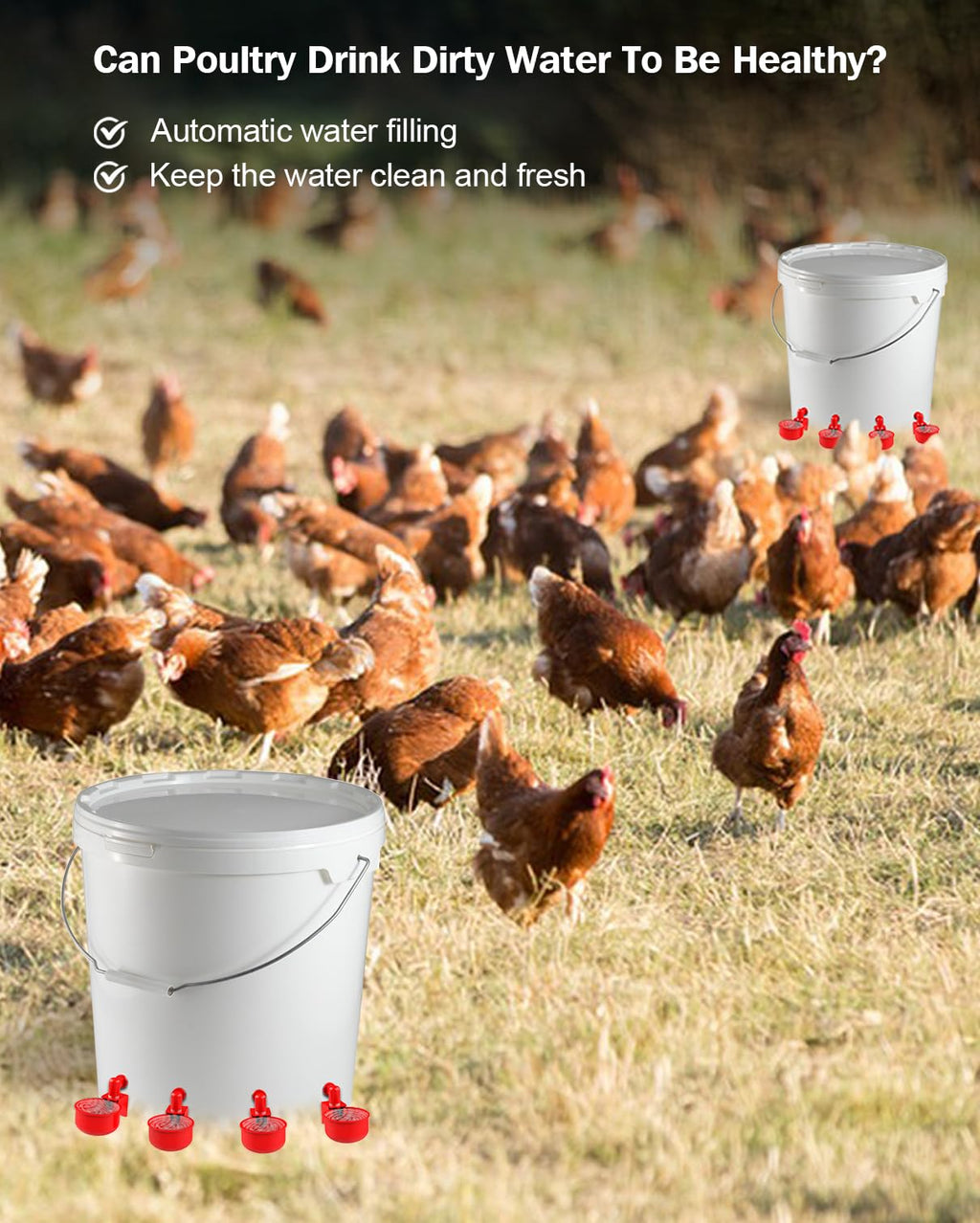30 Packs Large Automatic Poultry Water Feeder Cups with Tee Fittings T5248