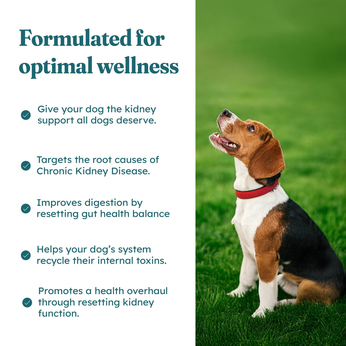 30 Soft Chews Pork Flavor Kidney Supplement for Dogs U7187