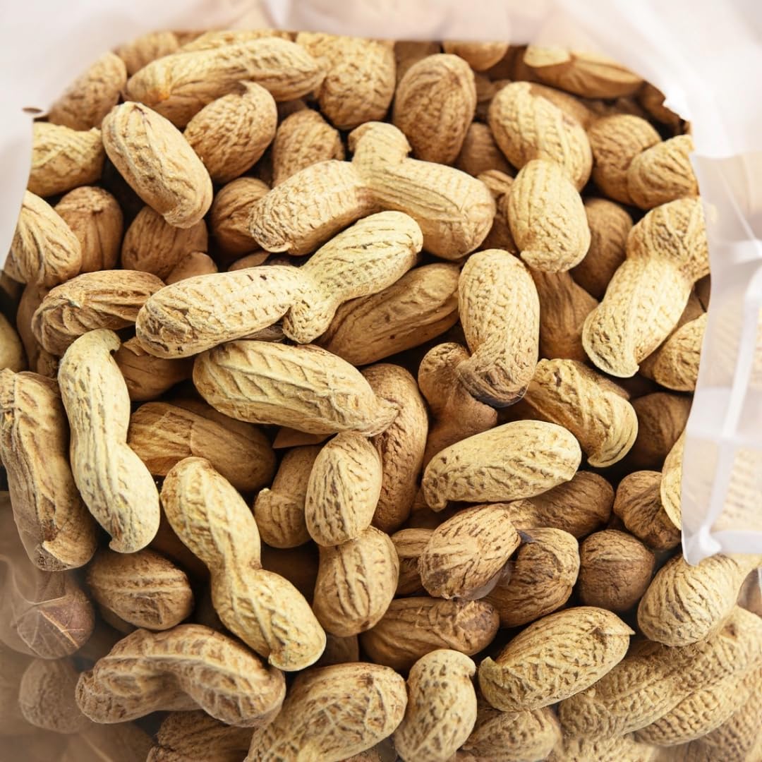 Peanuts in the Shell Jumbo Size 10 LB Bulk Bag Z8250