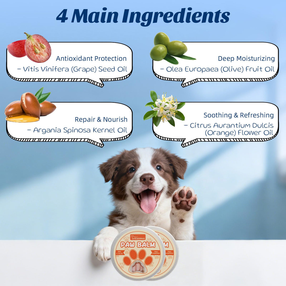 Coconut Chicken Flavor Dog Toothpaste with Toothbrush Kit 2.1oz M103217