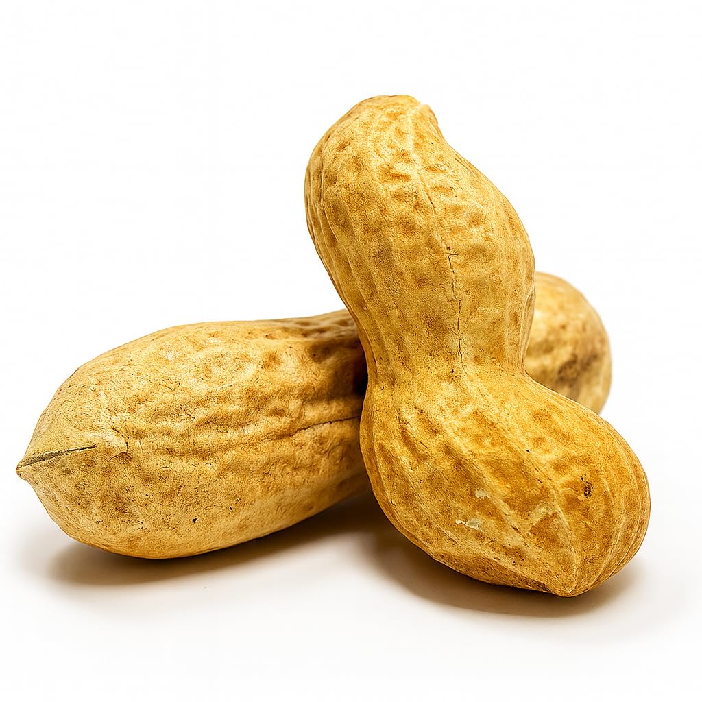 Raw Unsalted Peanuts in Shell 2.5lb O788
