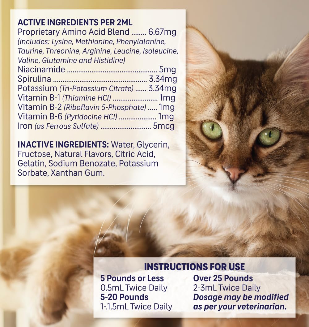 Liquid Pet Supplement with Vitamin B Complex & Iron 2 fl oz M569167