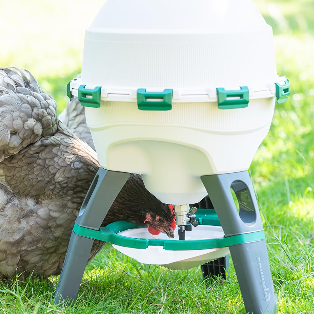 6 Gallon Top Fill Gravity Fed Poultry Waterer H290268