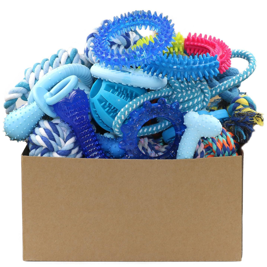 20 Pack Puppy Chew Toys O203584