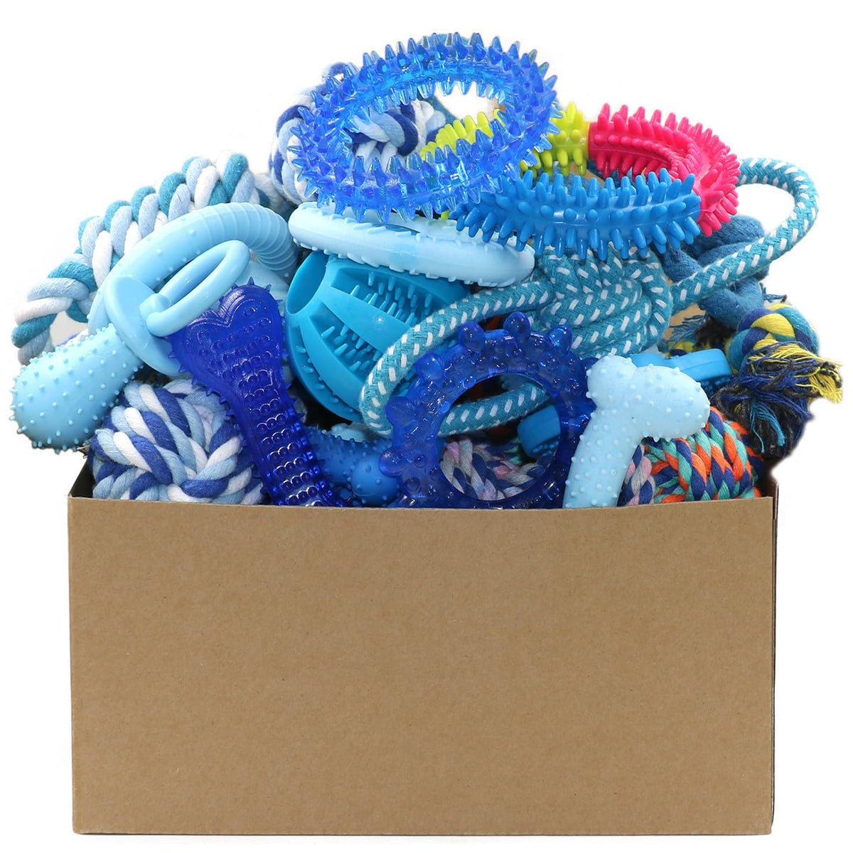20 Pack Puppy Chew Toys O203584