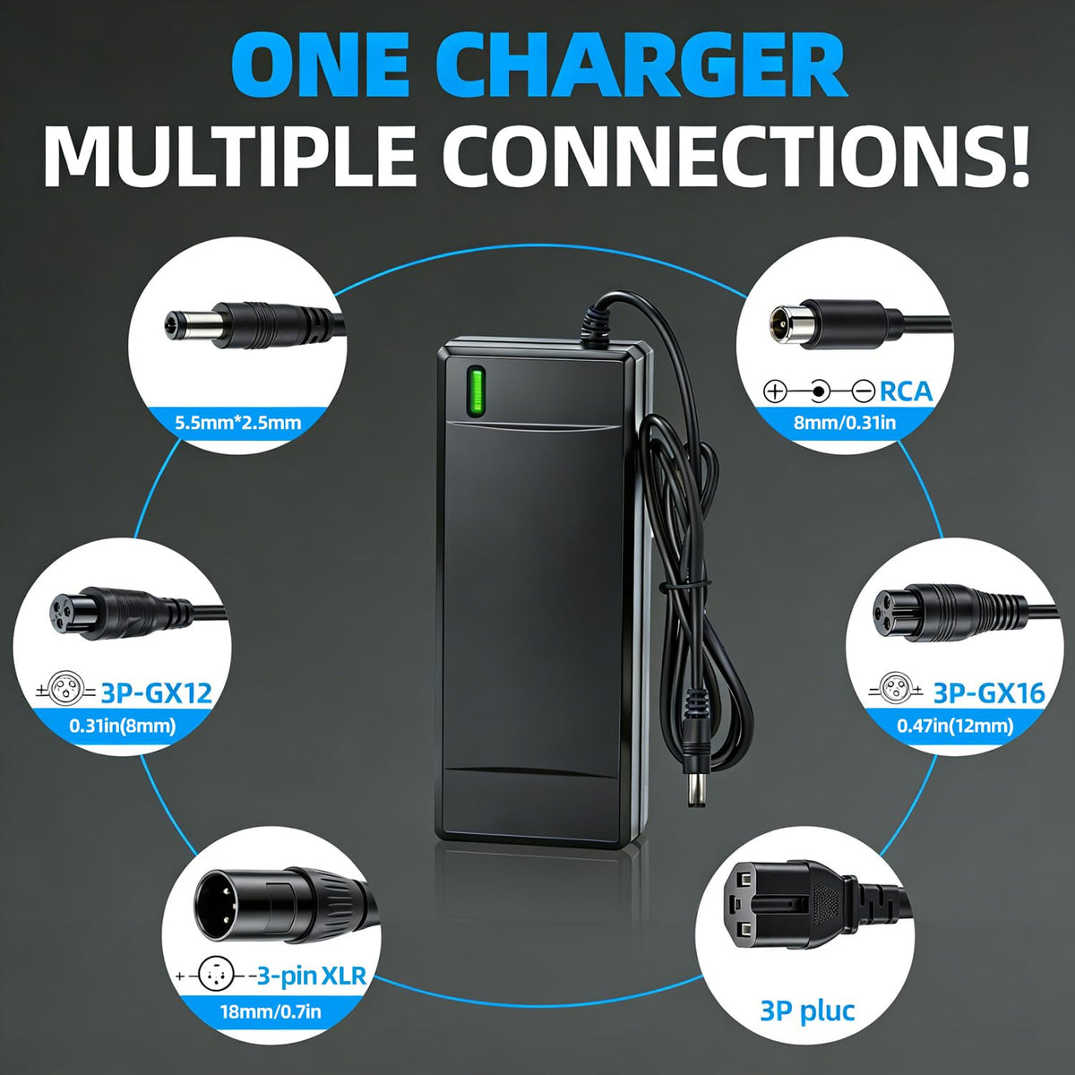 54.6V 2A Electric Bike Charger C2750