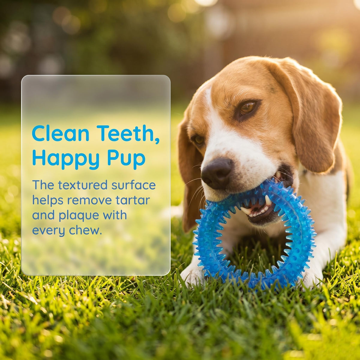20 Pack Puppy Chew Toys O203584