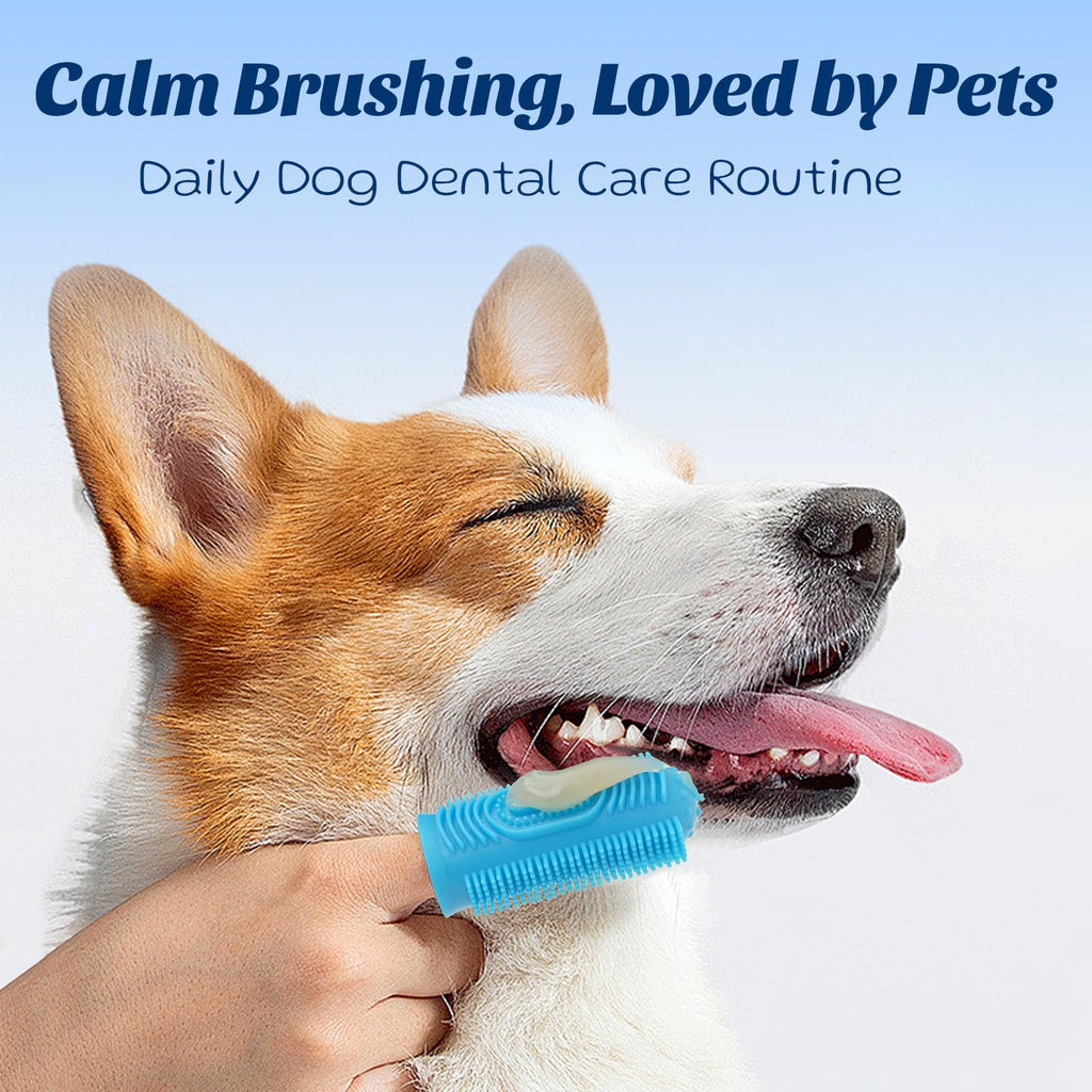 Coconut Chicken Flavor Dog Toothpaste with Toothbrush Kit 2.1oz M103217