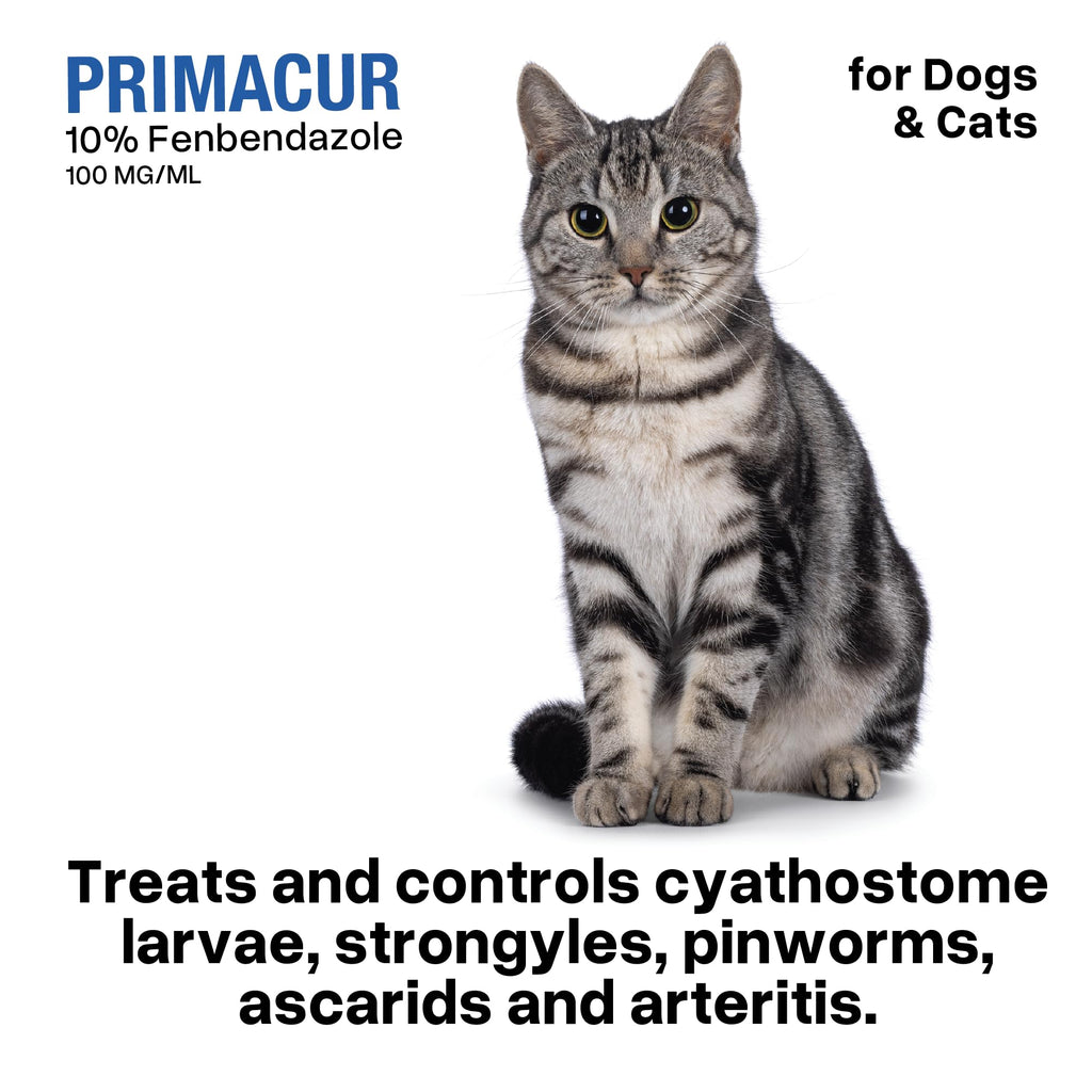 Broad-Spectrum Oral Suspension 10% for Dogs and Cats 120ML/4.1oz Bacon Flavor O9008