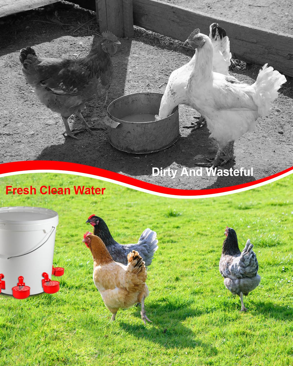 30 Packs Large Automatic Poultry Water Feeder Cups with Tee Fittings T5248