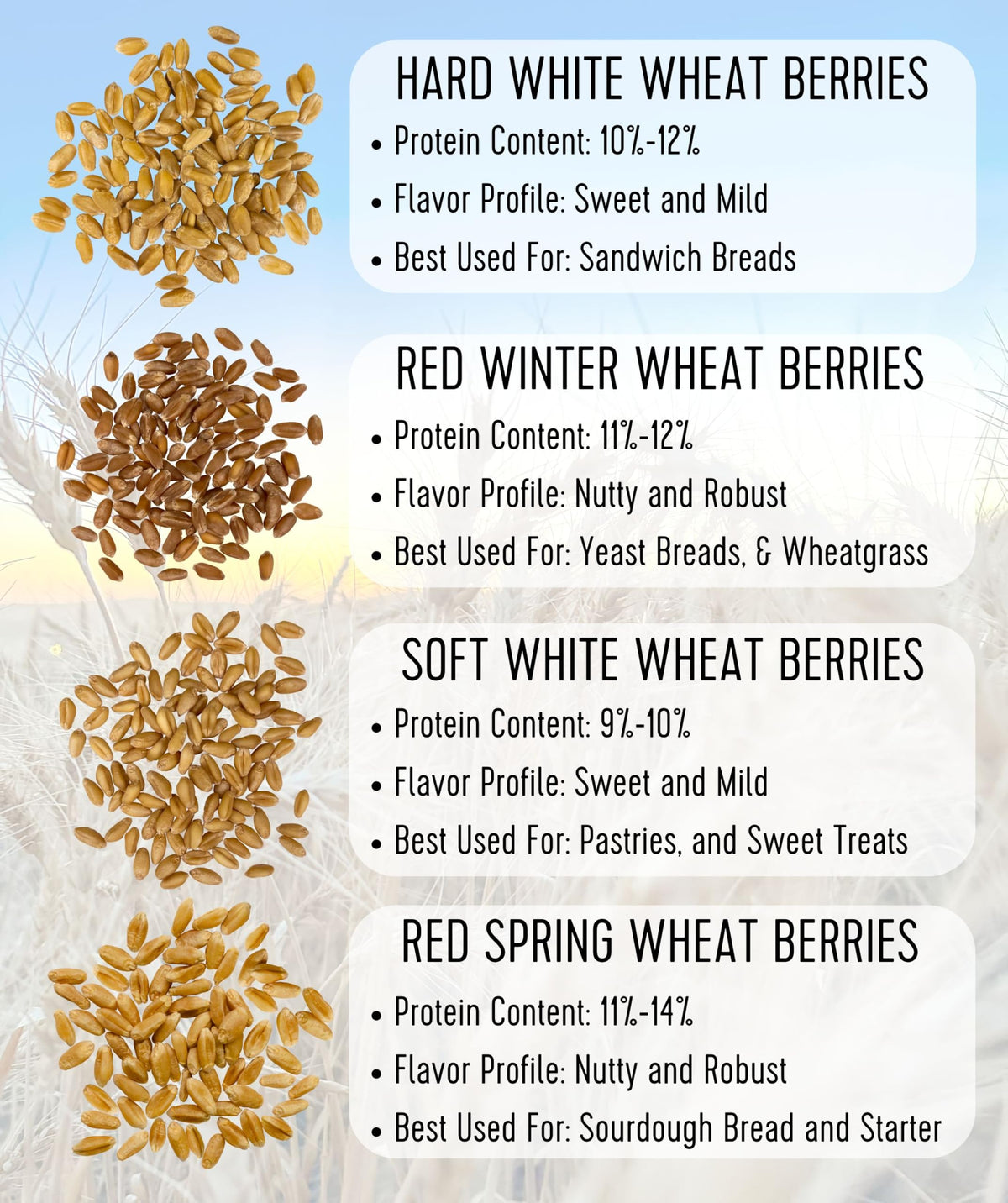 Hard Red Winter Wheat Berries 25 LBS Bag Sproutable Non-GMO Kosher W16387